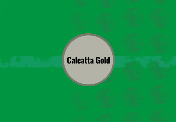 Calcatta Gold 30 X 90