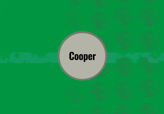 Cooper