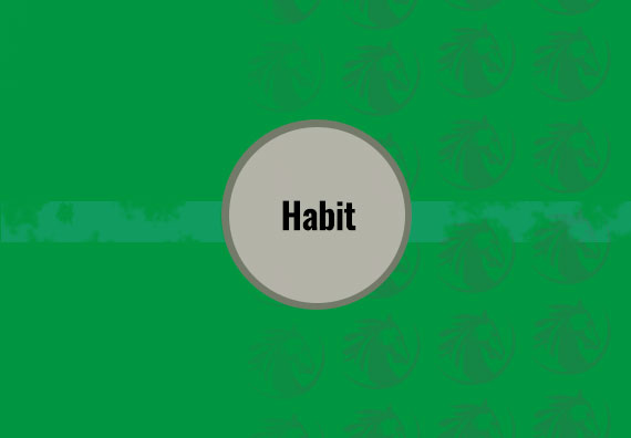 Habit 15 X 15