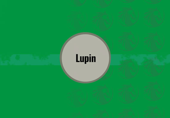 Lupin