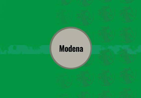 Modena 40 X 120