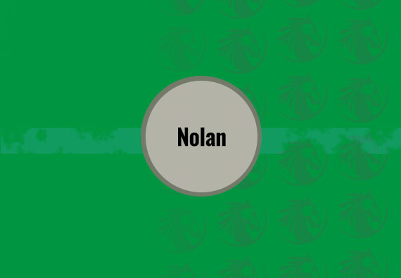 Nolan 30 X 90