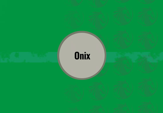 80X80 Onix