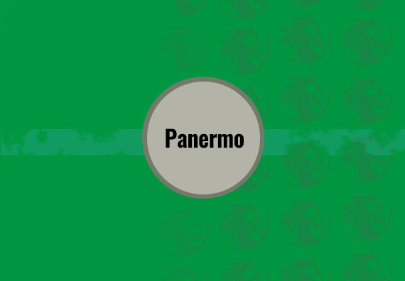 Panermo