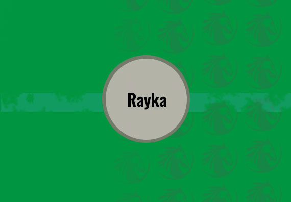 Rayka 40 X 120