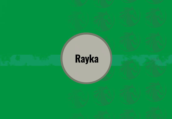 40X40 Rayka