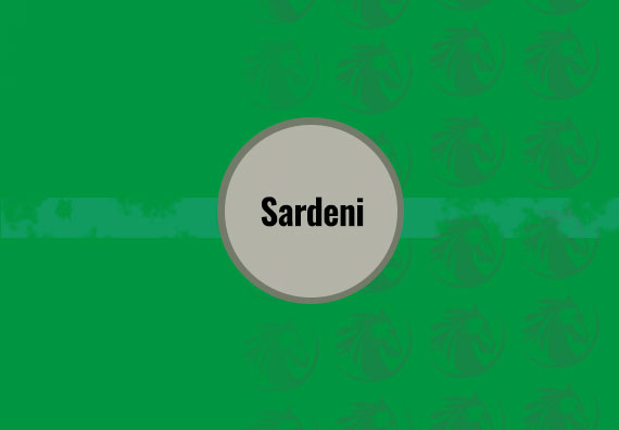 60X60 Sardeni
