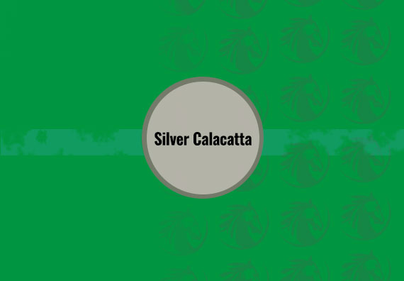 Silver Calacatta