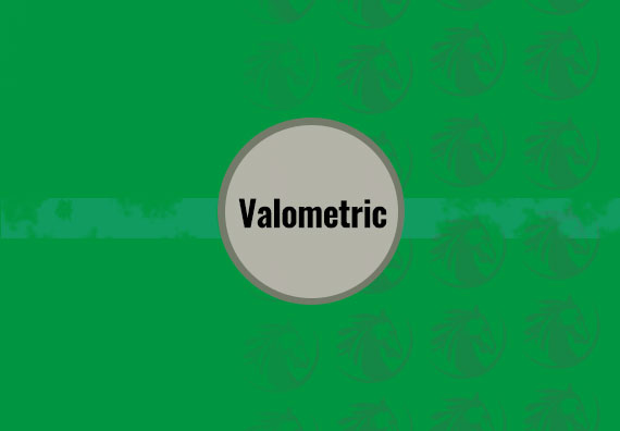 Valometric 40 X 120