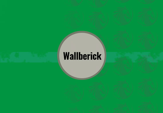 Wallberick 40 X 120
