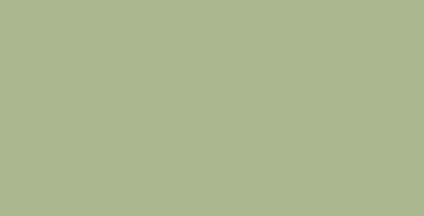 GREEN-MONOCOLOR-60X120